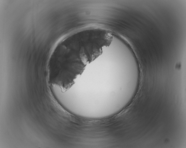 X0000111511467200908251101