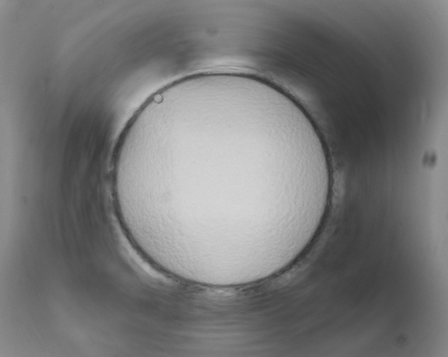 X0000111511470200908251101