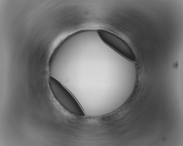 X0000111511472200908251101