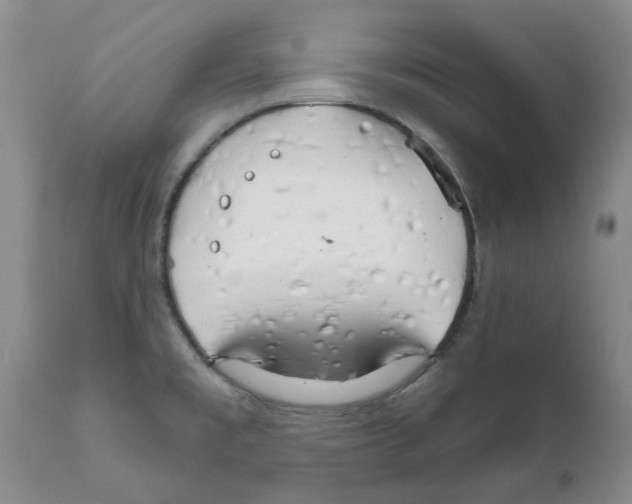 X0000111511477200908251101