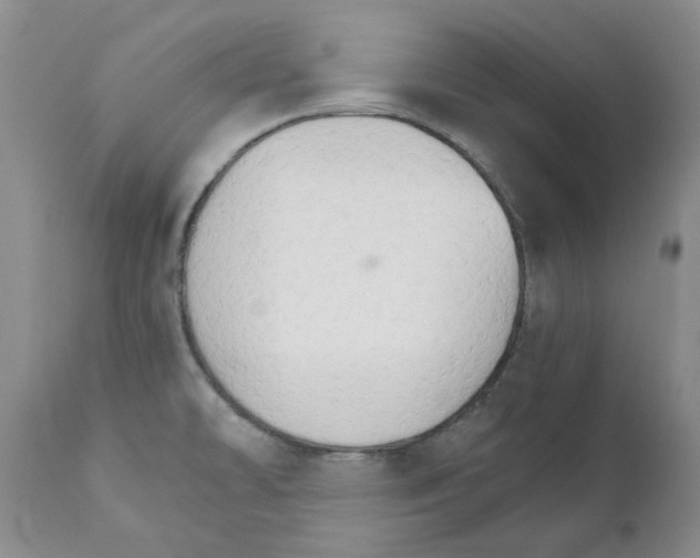 X0000111511478200908251101