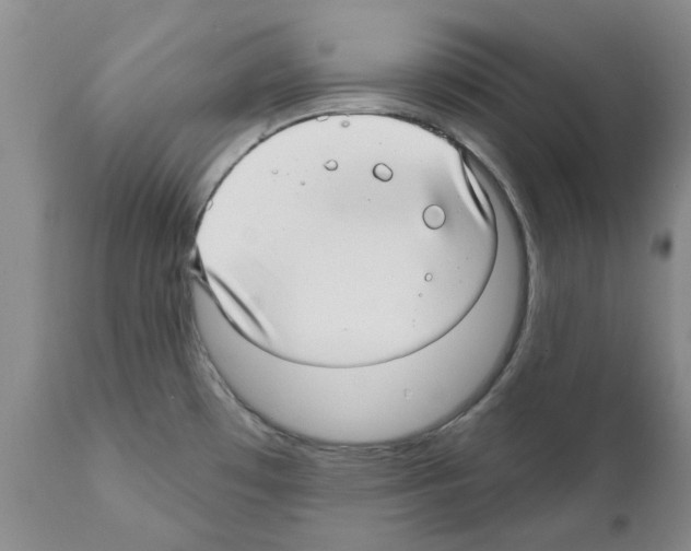 X0000111511481200908251101