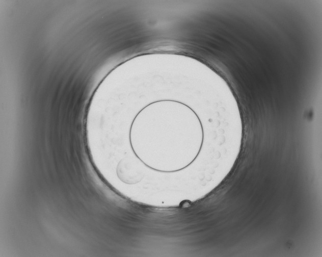 X0000111511483200908251101