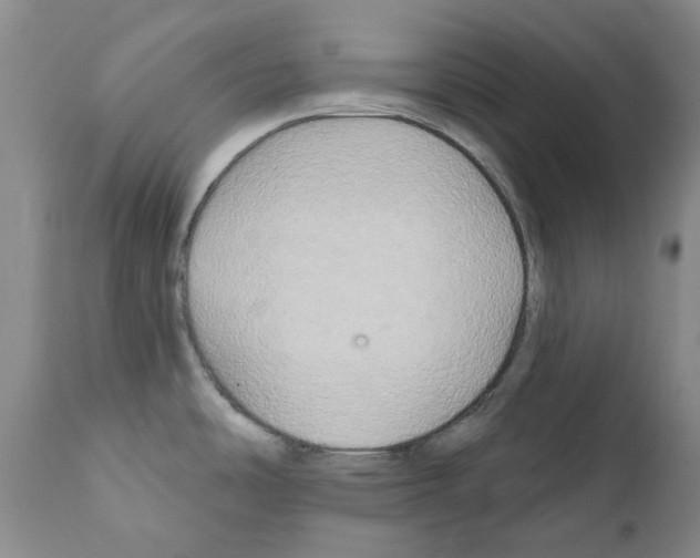 X0000111511486200908251101