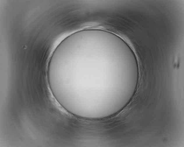 X0000111511488200908251101