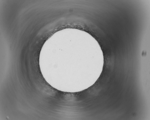 X0000111511489200908251100
