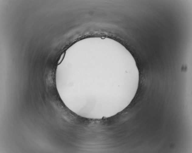 X0000111511490200908251100