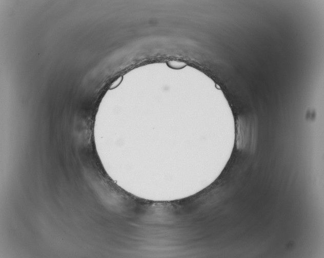 X0000111511491200908251100
