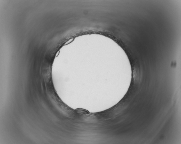 X0000111511492200908251100