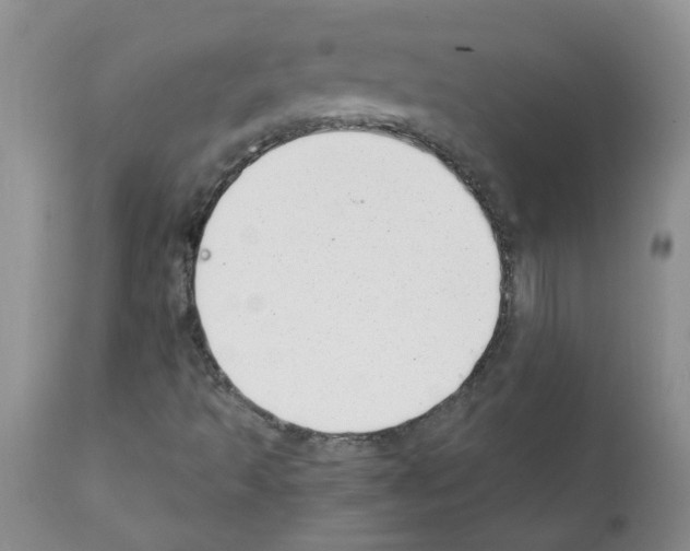 X0000111511493200908251100