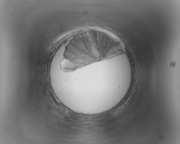 X0000111511494200908251100