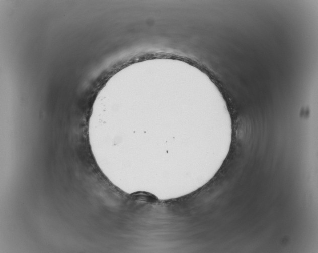X0000111511495200908251100