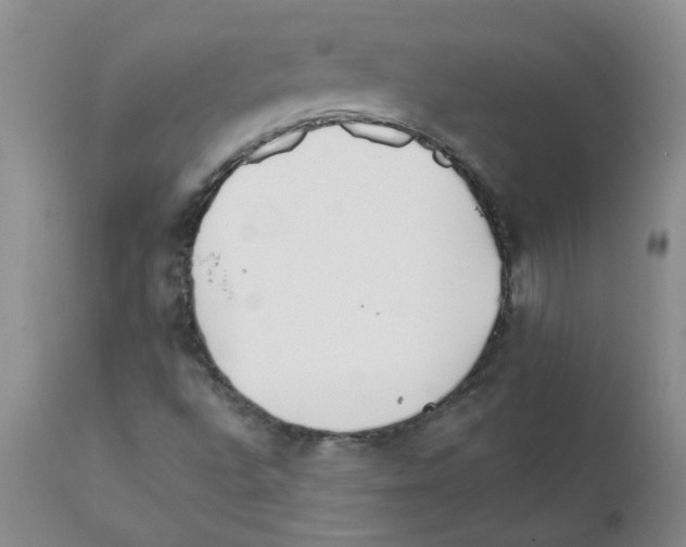 X0000111511496200908251100