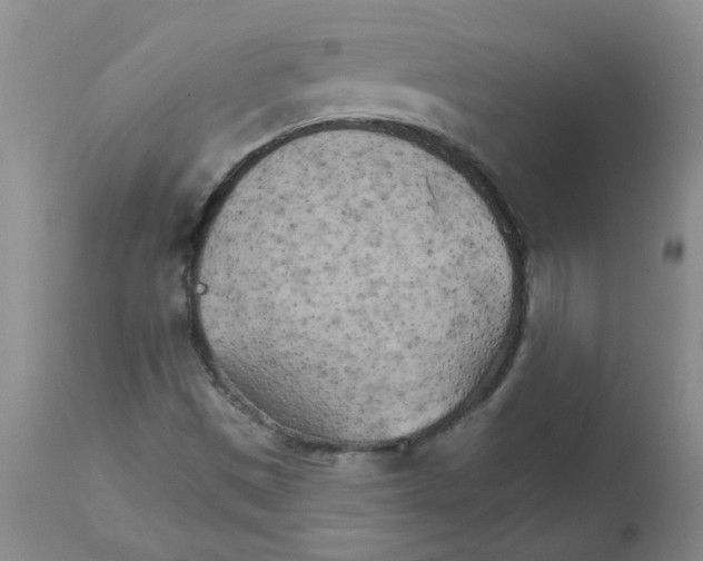 X0000111511497200908251100