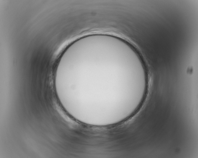 X0000111511498200908251100