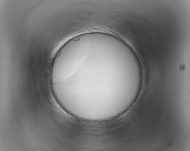 X0000111511500200908251101