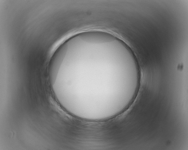 X0000111511502200908251101