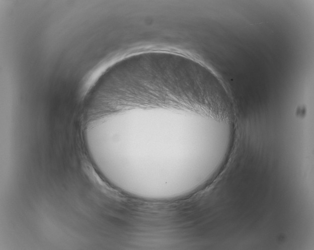X0000111511503200908251101