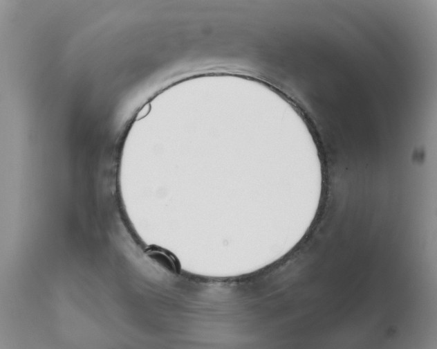 X0000111511504200908251101