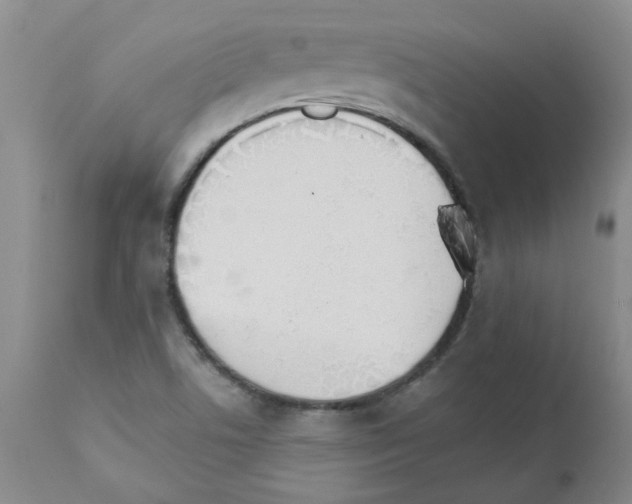 X0000111511506200908251101