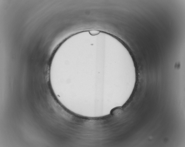X0000111511510200908251101