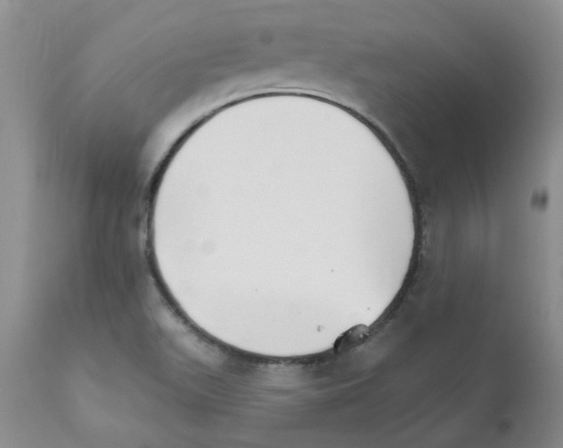 X0000111511511200908251101