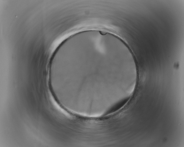 X0000111511515200908251101