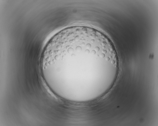 X0000111511517200908251101