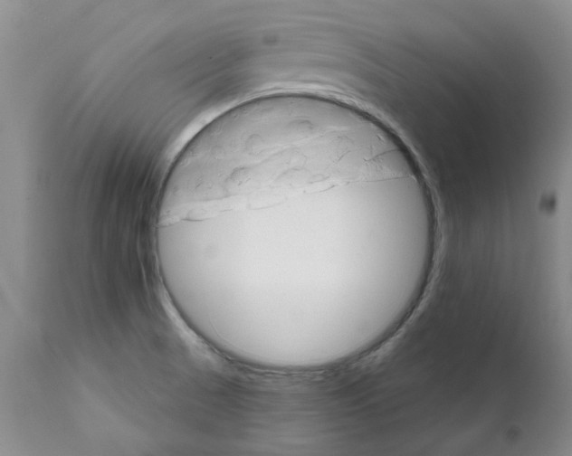 X0000111511521200908251101