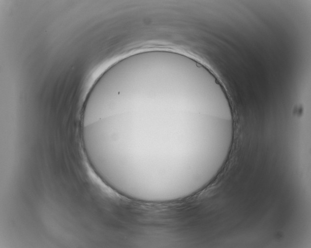 X0000111511527200908251101