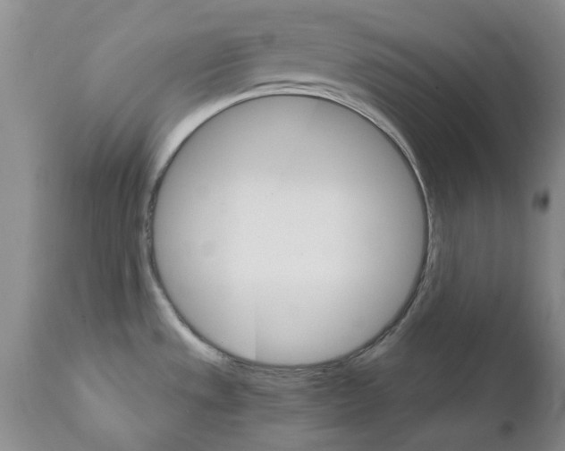 X0000111511533200908251101