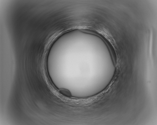 X0000111520001200907141246