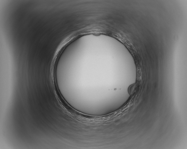 X0000111520004200907141245
