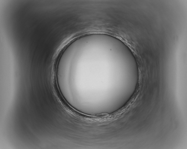 X0000111520005200907141245