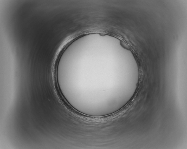 X0000111520006200907141245