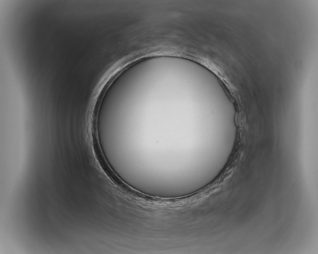 X0000111520007200907141245
