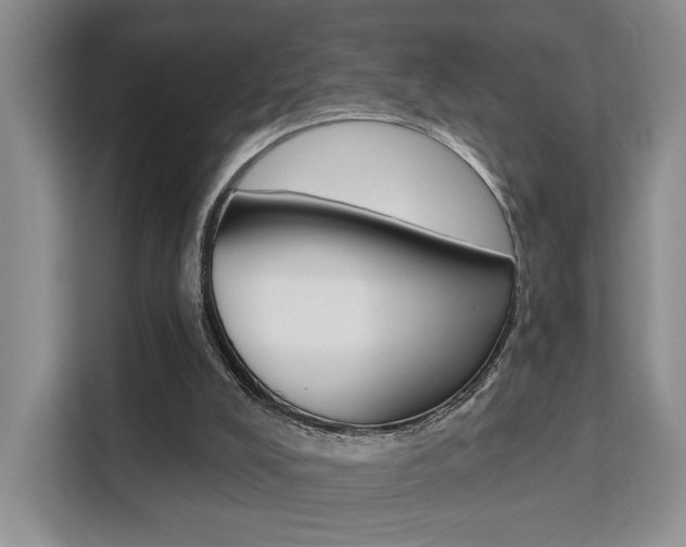 X0000111520008200907141245
