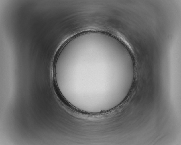 X0000111520011200907141245