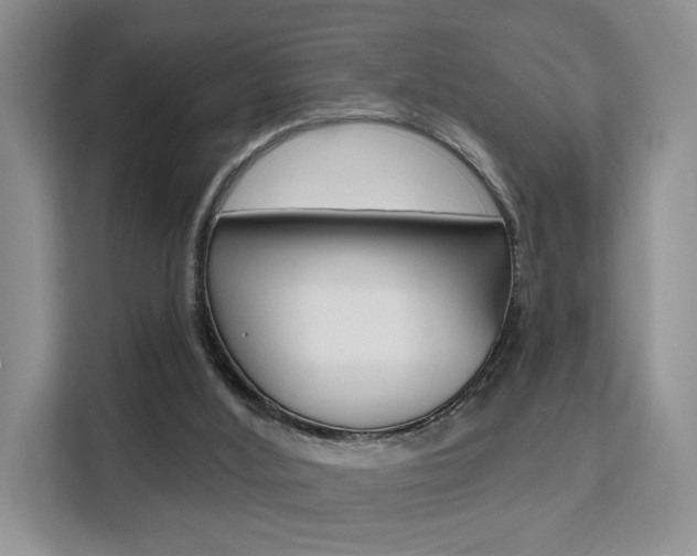 X0000111520012200907141245