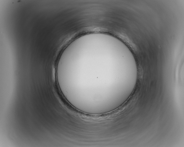 X0000111520014200907141245