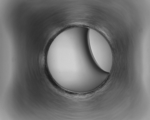 X0000111520016200907141245
