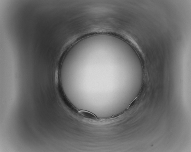 X0000111520019200907141245