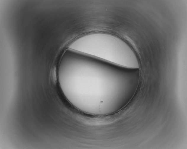 X0000111520020200907141245