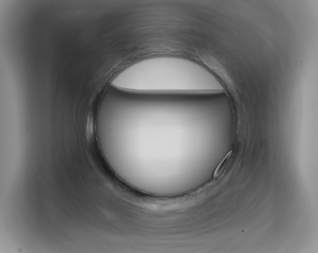 X0000111520021200907141245