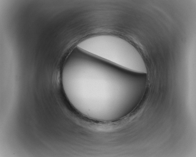 X0000111520024200907141245