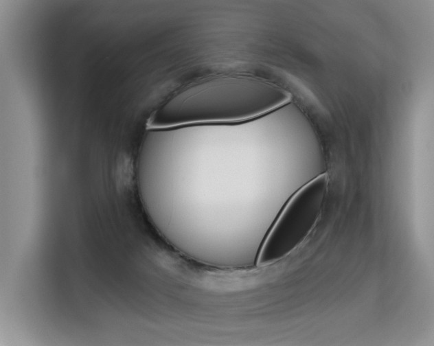 X0000111520025200907141245