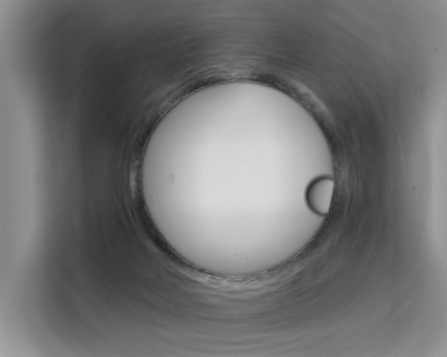 X0000111520026200907141245