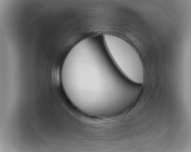 X0000111520028200907141245