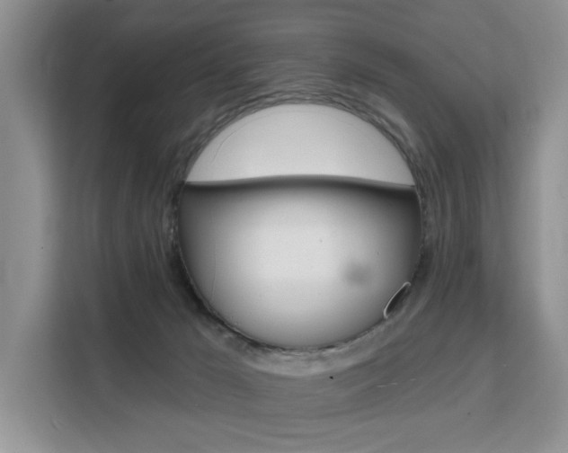 X0000111520029200907141245