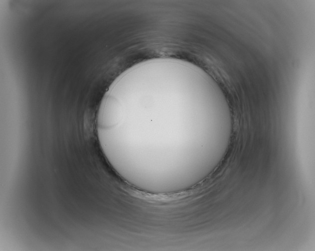 X0000111520030200907141245